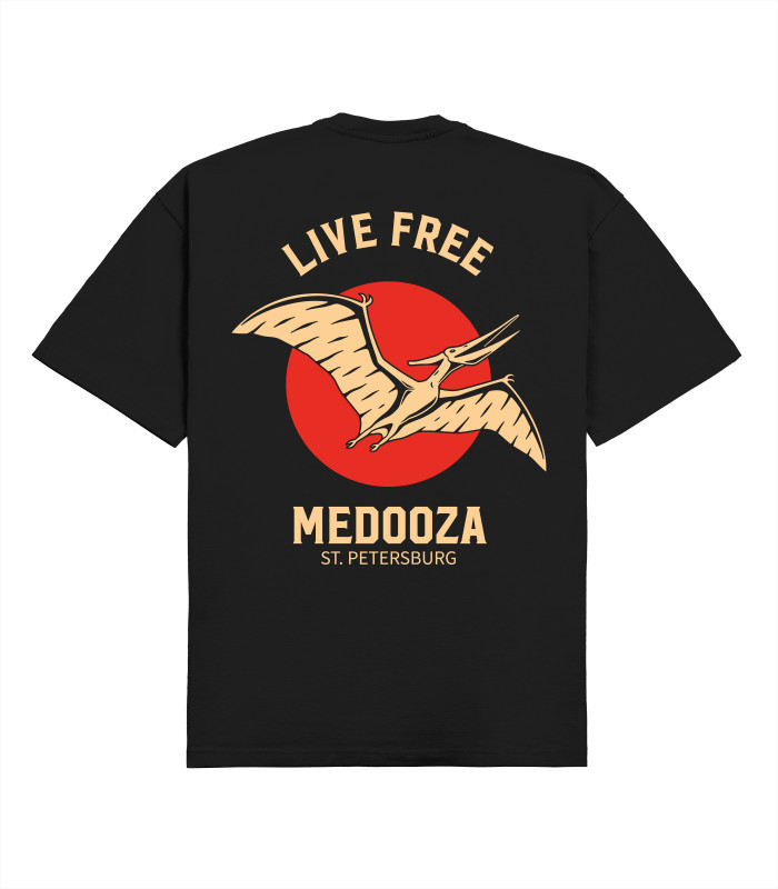 Футболка boxy MEDOOZA "Pterosaur" (черный)