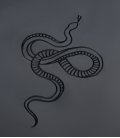 Парка MEDOOZA "Goliath" Snake (асфальт)