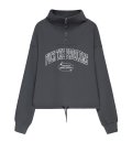 Свитшот Half-zip MEDOOZA «FTP College» (W) (графит)