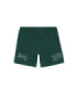 Шорты MEDOOZA "Dino II embr" (зеленый)
